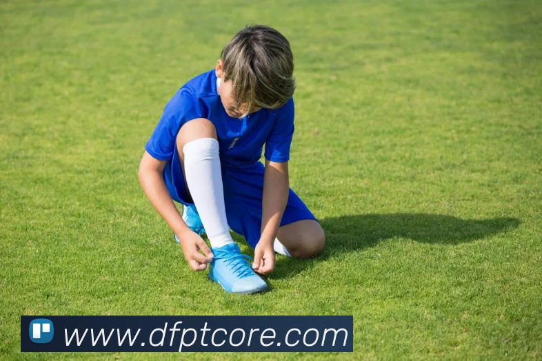 大发平台APP 封面图